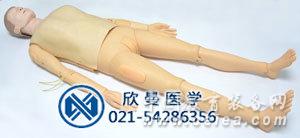 模型整體圖