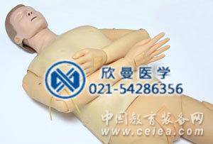 模擬人整體圖