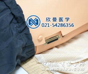 急救模擬人左側數據接口