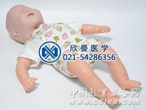嬰兒梗塞模型整體結構