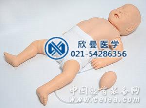 嬰兒心肺復蘇模擬人整體結構