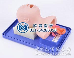 新生兒插管模型整體結構