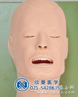 模型頭面部結(jié)構(gòu)