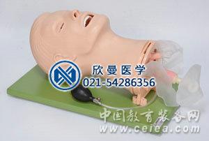 多功能氣道管理模型整體結(jié)構(gòu)