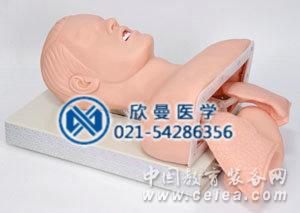 氣管插管模型側面